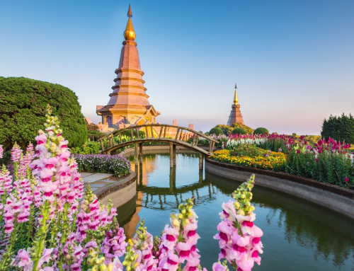  A Guide to the Best Activities and Attractions in Chiang Mai